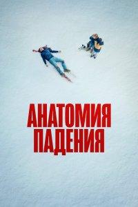 Анатомия падения (фильм 2023)